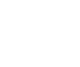 UNDP